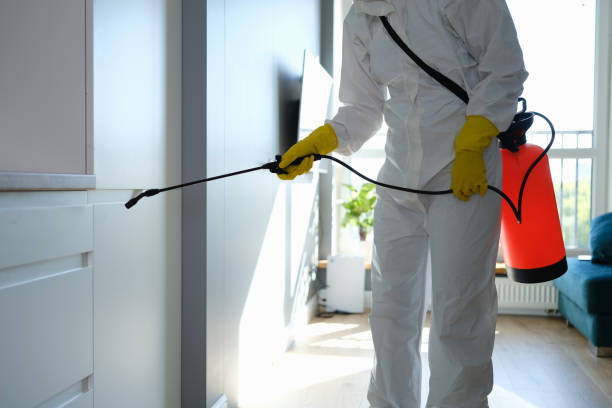 Trusted Montevallo, AL Mold Remediation Experts