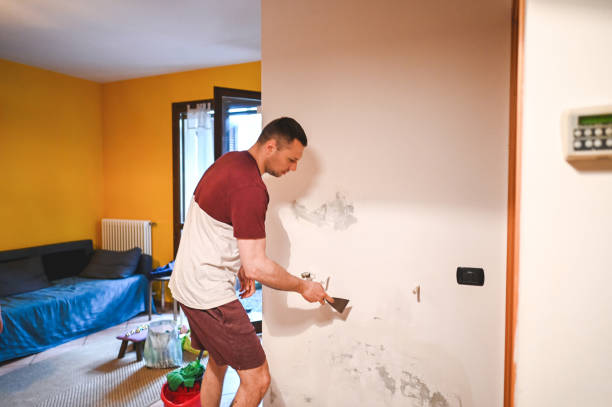 Best DIY Mold Remediation Support Services in Montevlo, AL